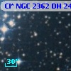 Cl* NGC 2362     DH     244