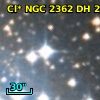 Cl* NGC 2362     DH     251