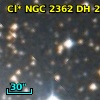 Cl* NGC 2362     DH     253