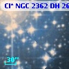 Cl* NGC 2362     DH     260