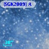 [SGK2009] A