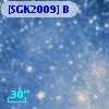 [SGK2009] B
