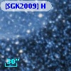 [SGK2009] H