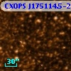 CXOPS J175114.5-293756