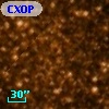 CXOPS J175123.5-293755