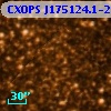 CXOPS J175124.1-293738