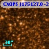 CXOPS J175127.0-293706