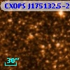 CXOPS J175132.5-293636