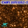 CXOPS J175133.2-293718