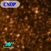 CXOPS J175133.6-293313