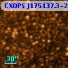 CXOPS J175137.3-293409