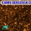 CXOPS J175137.4-293515