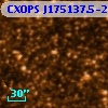 CXOPS J175137.5-293602