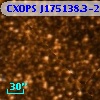 CXOPS J175138.3-293308