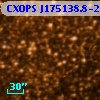 CXOPS J175138.8-293409
