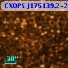 CXOPS J175139.2-293434