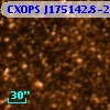 CXOPS J175142.8-293734