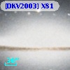 [DKV2003] X81