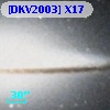 [DKV2003] X17