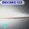 [DKV2003] X19