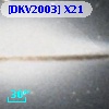[DKV2003] X21