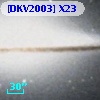 [DKV2003] X23