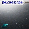 [DKV2003] X24