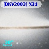 [DKV2003] X31