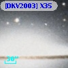 [DKV2003] X35