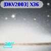 [DKV2003] X36