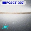 [DKV2003] X37