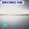 [DKV2003] X40