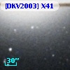 [DKV2003] X41
