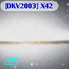 [DKV2003] X42
