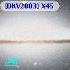 [DKV2003] X45