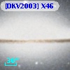 [DKV2003] X46
