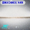 [DKV2003] X49
