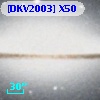 [DKV2003] X50