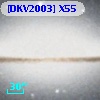 [DKV2003] X55