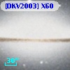 [DKV2003] X60