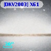[DKV2003] X61