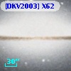[DKV2003] X62