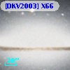[DKV2003] X66