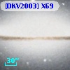 [DKV2003] X69