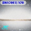 [DKV2003] X70