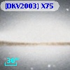 [DKV2003] X75