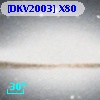 [DKV2003] X80