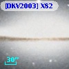 [DKV2003] X82