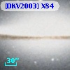[DKV2003] X84