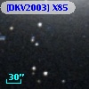 [DKV2003] X85